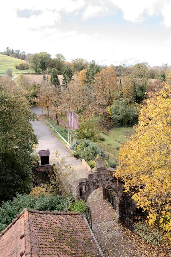 Eventlocation & Hotel Schloss Neuburg Obrigheim Zewnętrze zdjęcie